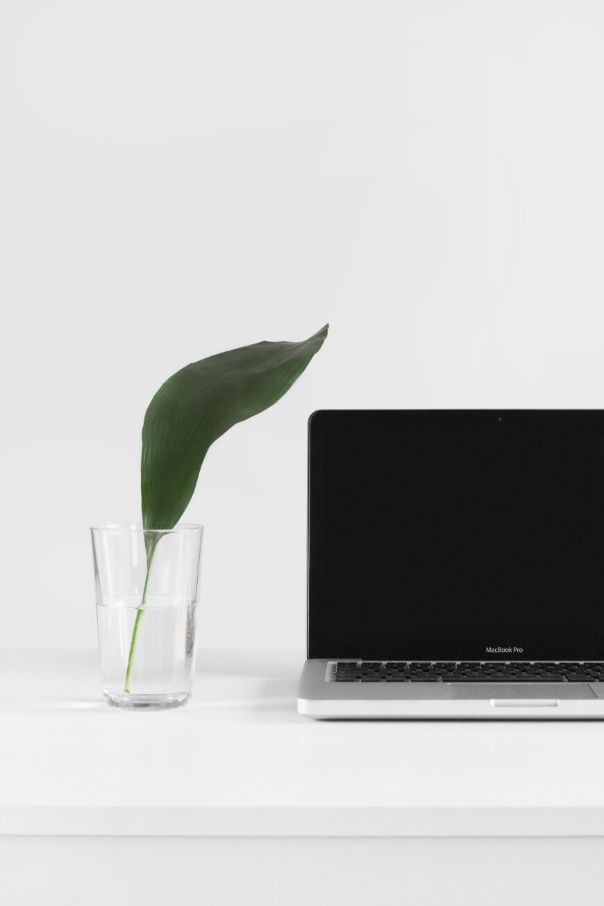 laptop and plant on desk
